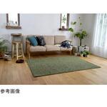 防炎 アレルブロック ラグ スミトロンニューツイスティ スミノエ