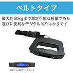 デジタル吊りはかり ベルトタイプ ZART