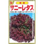 CAT699154 【タネ】 耐病 サニーレタス アタリヤ農園