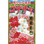 CAT699169 【タネ】 華やかな花色 ゴデチャ アタリヤ農園