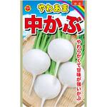 CAT699144 【タネ】 やわあま 中かぶ アタリヤ農園