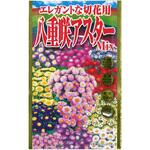 CAT699159 【タネ】 エレガントな切花用 八重咲アスター Mix アタリヤ農園
