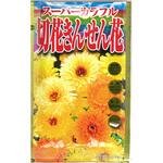 CAT699163 【タネ】 スーパーカラフル切花金せん花 アタリヤ農園