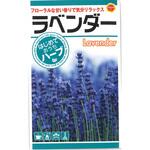 CAT699178 【タネ】 おうちでハーブ ラベンダー アタリヤ農園