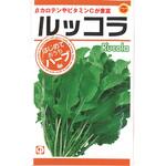 【タネ】 おうちでハーブ ルッコラ アタリヤ農園
