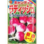 【タネ】 キャンデイラデイッシュ アタリヤ農園