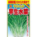 【タネ】 やわらか 早生水菜 アタリヤ農園