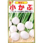 【タネ】 時なし小かぶ アタリヤ農園