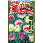 CAT699164 【タネ】 豪華な彩りトリプルカラー 切花用葉ぼたん Mix アタリヤ農園