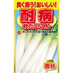 CAT699101 【タネ】 良く揃う!おいしい! 耐病 秋だいこん アタリヤ農園