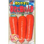 【タネ】 作りやすい 暑さに強い人参 アタリヤ農園