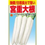 CAT699113 【タネ】 強健!白首長太で旨い 宮重大根 アタリヤ農園