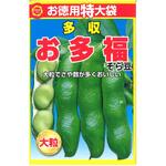 そら豆 CAT699182 【タネ】 特大袋 多収 お多福 そら豆 1袋 アタリヤ