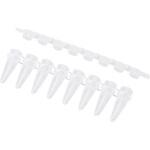 PCR8連チューブ ケニス