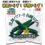 乳酸発酵 キュウリの肥料 渡辺泰