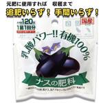 乳酸発酵 ナスの肥料 渡辺泰