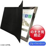 LCD-ZE2LN109IPAD プライバシーフィルム_iPad 10.9インチ サンワサプライ