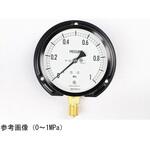 普通形圧力計(Φ100)立形B枠 蒸気・耐振用 AE20-231シリーズ 長野計器