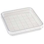 スクウェアペトリディッシュ 100x15mm D210-16シリーズ Simport