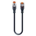 51498 RST 5-RKT 5-289/1 M センサアクチュエータケーブル 22 AWG コア数：5 RSTシリーズ Lumberg Automation