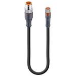 29622 RST 4-RKMV 4-225/2 M センサアクチュエータケーブル 22 AWG コア数：4 RSTシリーズ Lumberg Automation