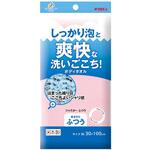キクロンファイン シャスター ふつう キクロン
