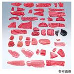 フードモデル 獣鳥肉類1～49 イワイサンプル