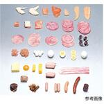 フードモデル 獣鳥肉類50～89 イワイサンプル