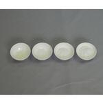 フードモデル 離乳食・発達段階別素材単品 44Rシリーズ イワイサンプル