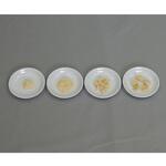 フードモデル 離乳食・発達段階別素材単品 44Rシリーズ イワイサンプル