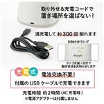 EA765FH-91 [充電式]鉛筆けずり アイボリー エスコ