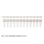 BMSC0200237 12連PCRチューブ & 12連チューブキャップ フラットタイプ セット クリア BMSC0200237シリーズ ビーエム機器
