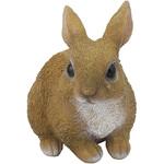 手のりうさぎ セーブインダストリー