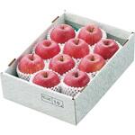 奥山農園 山形県産 サンふじりんご ノーブランド