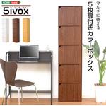 A4サイズ収納OK!扉付きカラーボックス【-5ivox-フィボックス 