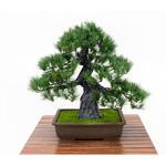 人工樹木/人工観葉植物 松盆栽 小 GO-518 岩や