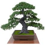人工樹木/人工観葉植物 松盆栽 大 GO-519 岩や