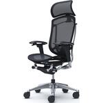 コンテッサセコンダ、可動肘、固定ヘッド、座メッシュ、ハンガー無、ランバー付、ブラックB、ポリッシュ、脚ポリッシュ、ウレタン オカムラ(岡村製作所)