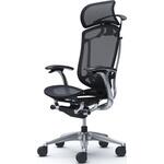 コンテッサセコンダ、固定肘、固定ヘッド、座メッシュ、ハンガー付、ランバー付、ブラックB、ポリッシュ、脚ポリッシュ、ウレタン オカムラ(岡村製作所)