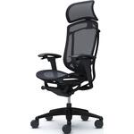 コンテッサセコンダ、可動肘、固定ヘッド、座メッシュ、ハンガー無、ランバー付、ブラックB、ブラック、脚ブラック、ウレタン オカムラ(岡村製作所)