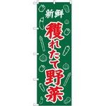 2008789 のぼり 新鮮獲れたて野菜 P・O・Pトレーディング