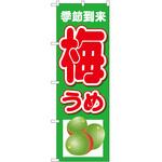 2015821 のぼり 梅うめ季節到来下 P・O・Pトレーディング