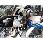 クラシッククラッシュプロテクター R&G RACING PRODUCTS