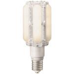 LDTS60L-G-E39A LEDioc LEDライトバルブ 60W 岩崎電気
