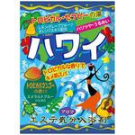エステ気分アロマハワイ ヘルス