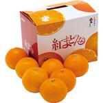 愛媛県産 紅まどんな ノーブランド