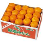愛媛みかん ノーブランド
