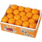 和歌山県産 有田みかん ノーブランド