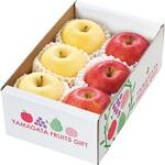 山形県産 サンふじとはるか食べ比べ ノーブランド