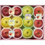 Y12-3B りんご5種食べ比べ ノーブランド